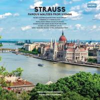 Виниловая пластинка Various Artists - Strauss: Famous Waltzes From Vienna (Lucky Dip Marble Vinyl LP)
