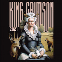 Виниловая пластинка King Crimson - Music Is Our Friend: Live In Washington And Albany, 2021 (Black Vinyl 3LP)