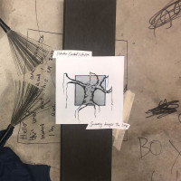 Виниловая пластинка Suburban Cracked Collective - Swimming Amongst The Dregs (Black Vinyl LP)