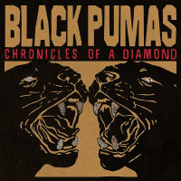 Виниловая пластинка Black Pumas - Chronicles Of A Diamond (Clear Vinyl LP)