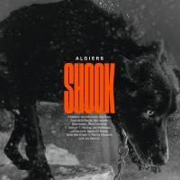 Виниловая пластинка Algiers - Shook (Limited Indie Edition, Gold Vinyl 2LP)