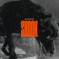 Виниловая пластинка Algiers - Shook (Limited Indie Edition, Gold Vinyl 2LP)