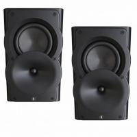Настенная акустика Perlisten Audio A2s Matte Black
