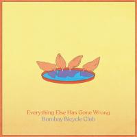 Виниловая пластинка Bombay Bicycle Club - Everything Else Has Gone Wrong (Black Vinyl LP)
