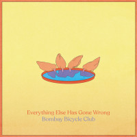 Виниловая пластинка Bombay Bicycle Club - Everything Else Has Gone Wrong (Black Vinyl LP)