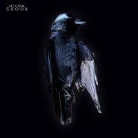 Виниловая пластинка Rico Friebe - Shook (Black Vinyl LP)