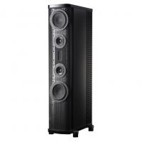 Напольная акустика Gryphon Audio Designs Pantheon