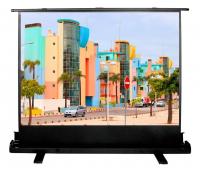 Экран Cactus FloorExpert CS-PSFLE-160x120