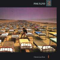 Виниловая пластинка Pink Floyd - A Momentary Lapse Of Reason (Black Vinyl LP)