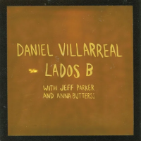 Виниловая пластинка Daniel Villarreal - Lados B (Black Vinyl LP)