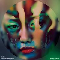 Виниловая пластинка Beifer - Constant.transition (Black Vinyl LP)