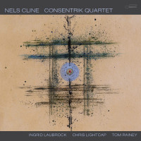 Виниловая пластинка Nels Cline -  Consentrik Quartet (Black Vinyl 2LP)