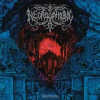 Виниловая пластинка Necrophobic - Darkside (Black Vinyl LP)