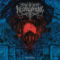 Виниловая пластинка Necrophobic - Darkside (Black Vinyl LP)