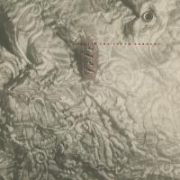Виниловая пластинка Felt - Ignite The Seven Cannons (Limited Edition, Black Vinyl LP)