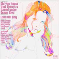 Виниловая пластинка Lana Del Rey - Did You Know That There's A Tunnel Under Ocean Blvd (alternative artwork) (Orange Translucent Vinyl 2LP)