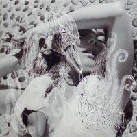 Виниловая пластинка Bjork, Vespertine