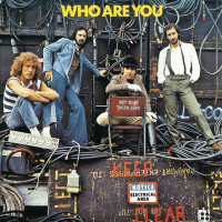 Виниловая пластинка The Who - Who Are You (Half Speed) (Black Vinyl LP)