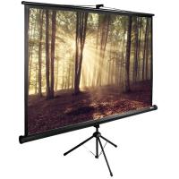 Экран Cactus TriExpert CS-PSTE-180x135-BK