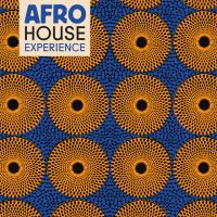 Виниловая пластинка Various Artists - Afro House Experience (Black Vinyl 2LP)