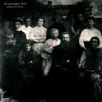 Виниловая пластинка The Pineapple Thief - Abducted At Birth (Black Vinyl 2LP)