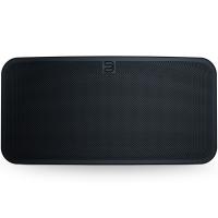 Акустическая система Bluesound Pulse Mini 2i Black