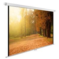 Экран Cactus WallExpert CS-PSWE-200x125-WT