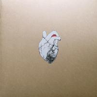 Виниловая пластинка Swans - The Beggar (Black Vinyl 2LP)