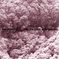 Виниловая пластинка Trentemoller - Into The Great Wide Yonder (Black Vinyl LP)