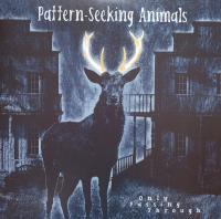 Виниловая пластинка Pattern-Seeking Animals - Only Passing Through (180 Gram Black Vinyl 2LP+CD)