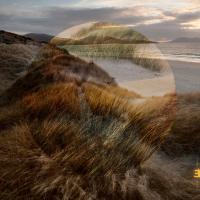 Виниловая пластинка Matt Carmichael - Marram (Coloured Vinyl LP)