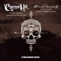 Виниловая пластинка Cypress Hill - Black Sunday Live At The Royal Albert Hall (Black Vinyl 2LP)