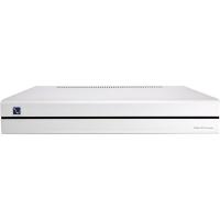 Усилитель мощности PS Audio Stellar Amplifier S300 Silver