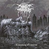 Виниловая пластинка Darkthrone -  Ravishing Grimness (Black Vinyl LP)