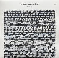 Виниловая пластинка Tord Gustavsen - Seeing (Black Vinyl LP)