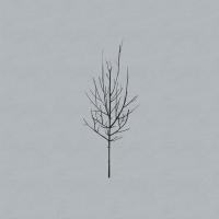 Виниловая пластинка Low - Ones And Sixes (Black Vinyl 2LP)