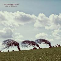 Виниловая пластинка The Pineapple Thief - What We Have Sown (Black Vinyl 2LP)