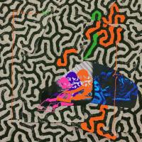 Виниловая пластинка Animal Collective - Tangerine Reef (Black Vinyl 2LP)