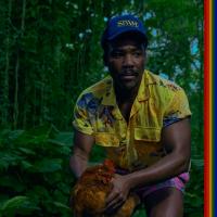 Виниловая пластинка Childish Gambino - Bando Stone And The New World (Black Vinyl 2LP)