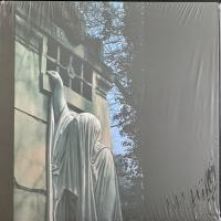 Виниловая пластинка Dead Can Dance — WITHIN THE REALM OF A DYING SUN (LP)