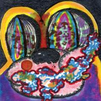 Виниловая пластинка Cage The Elephant - Thank You, Happy Birthday (Black Vinyl LP)