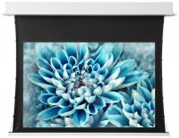 Экран Viewscreen Annex 16:10 123" 264*165 White Casing (с ИК пультом)