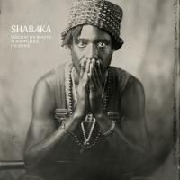 Виниловая пластинка Shabaka - Perceive Its Beauty, Acknowledge Its Grace (Black Vinyl LP)
