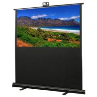 Экран Draper Traveller HDTV (9:16) 140/55" 69*122 XT1000E (MW)