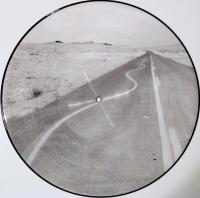Виниловая пластинка Manic Street Preachers - Critical Thinking (Picture Vinyl LP)