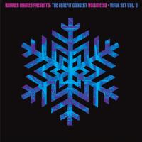 Виниловая пластинка Various Artists - Warren Haynes Presents: The Benefit Concert Volume 20 Vinyl Vol. 3 (Blue Vinyl 2LP)
