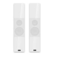 Настенная акустика Audio Physic Classic OnWall 2 Glass White High Gloss