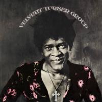Виниловая пластинка Velvert Turner Group - Velvert Turner Group (Analogue) (Black Vinyl LP)
