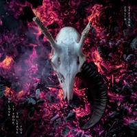Виниловая пластинка Colin Stetson - The Love It Took To Leave You (Black Vinyl 2LP)