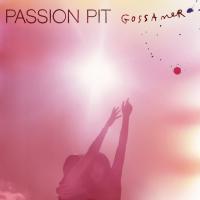 Виниловая пластинка Passion Pit - Gossamer (10th Anniversary,Gold Vinyl  2LP)